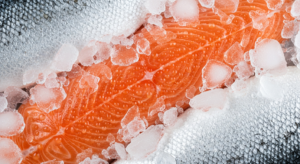 Distributor Salmon Segar Bandung Harga Terbaik Terdekat Di Karanganyar Bandung